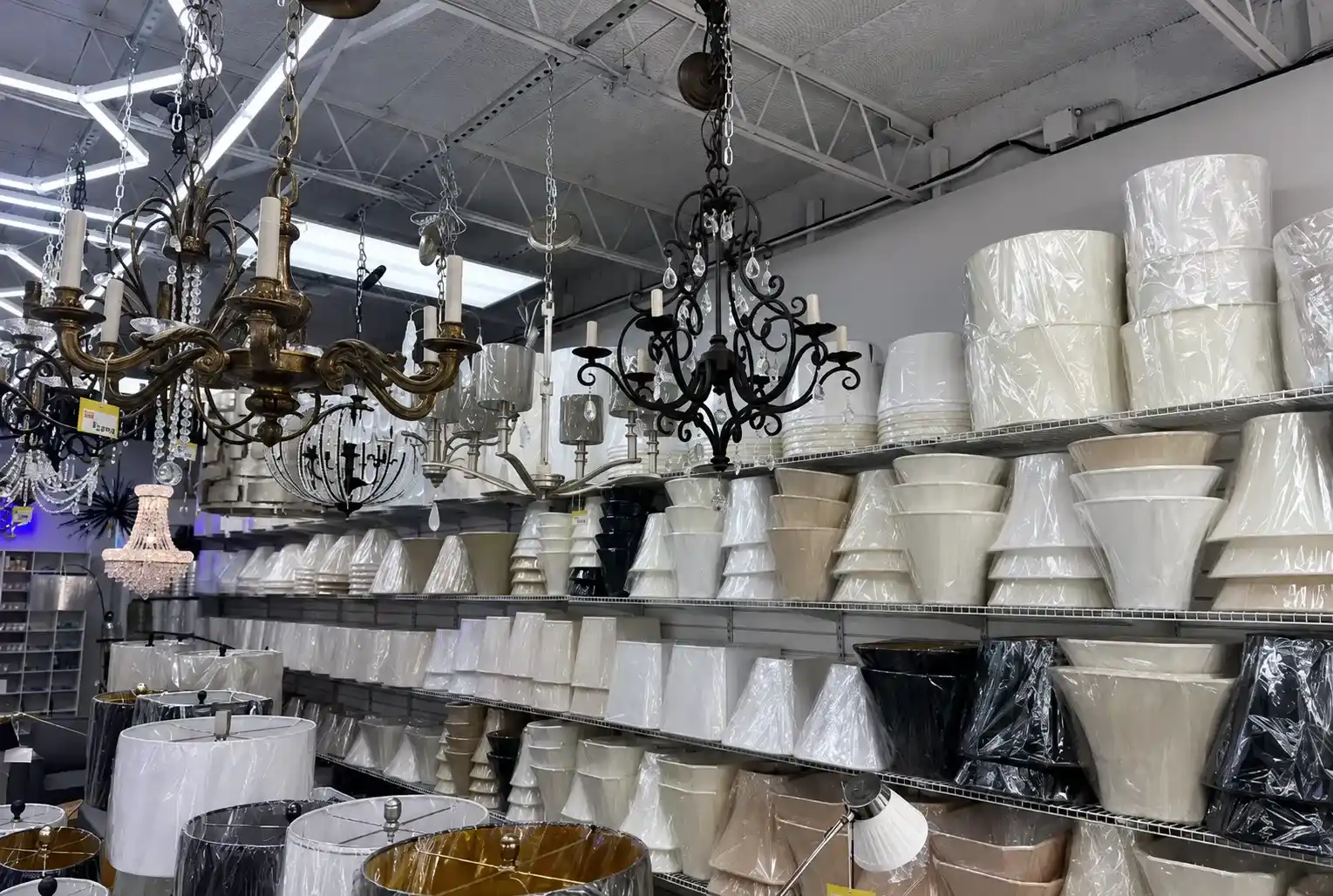 
            Refresh Your Lamps with the